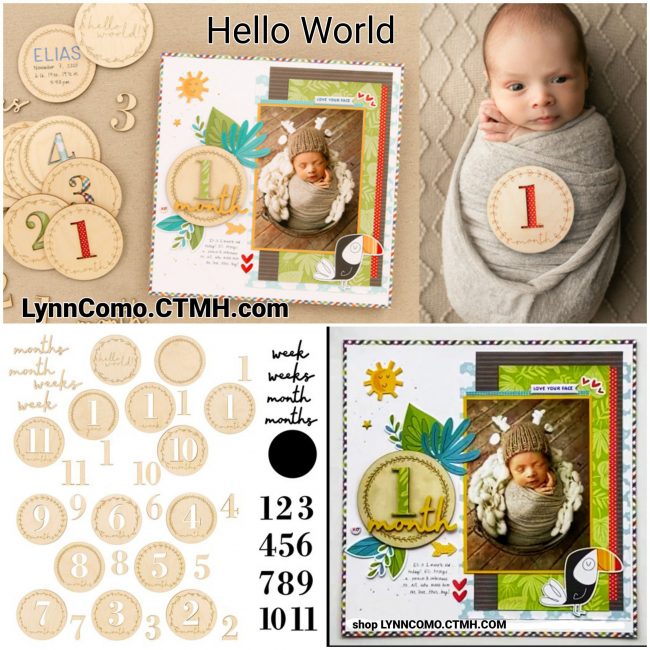 Hello World Wood Milestones New Baby
