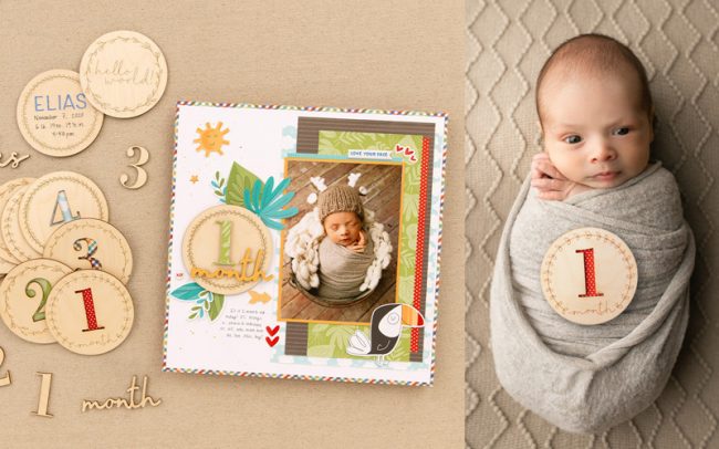 Hello World Monthly Milestones New Born