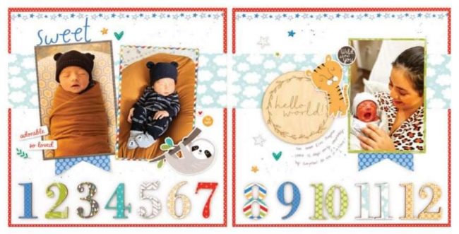 Hello World Milestones New Baby
