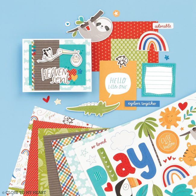 Sweet Safari Collection