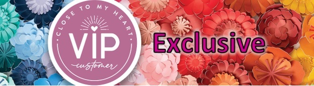VIP Exclusive Offer