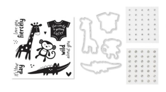 Sweet Safari Cards