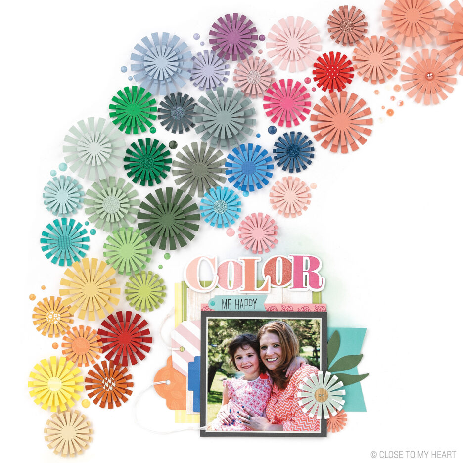 SU! Color