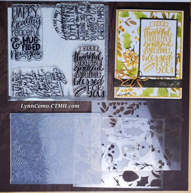 Holly Folder and SOTM