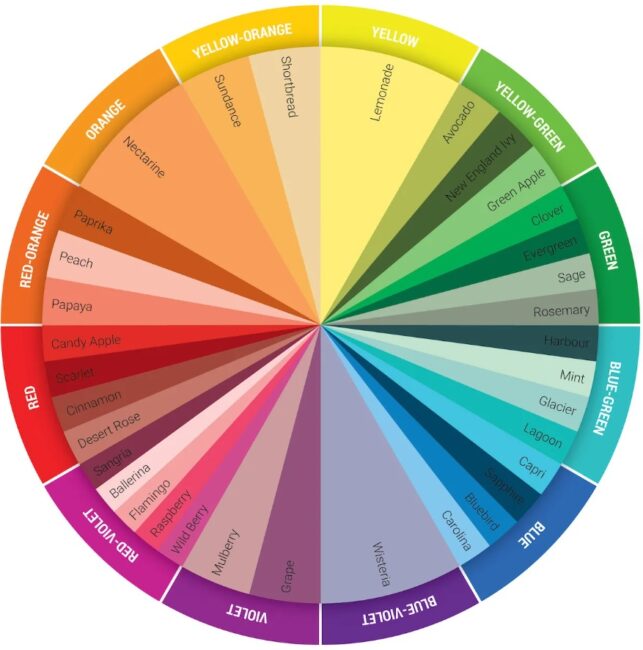 Color Wheel