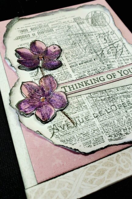 CC32316 Parisian Notes