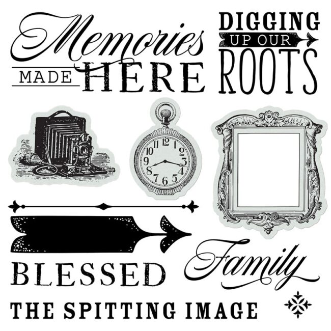 Z4711 Family Roots