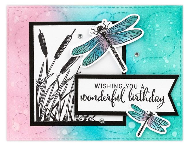 Dragonfly and Wishes