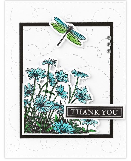 Dragonfly and Wishes