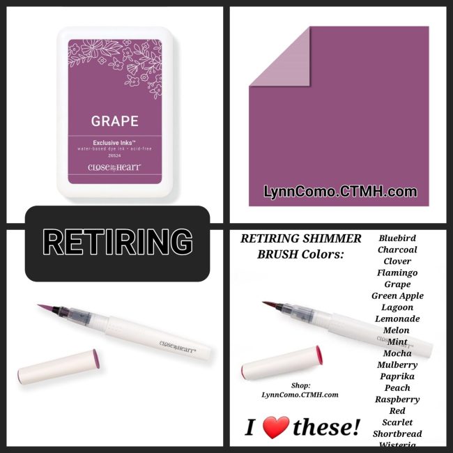 Close to my Heart Grape Color