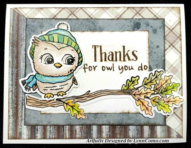 S2310 From owl of us SOTM
