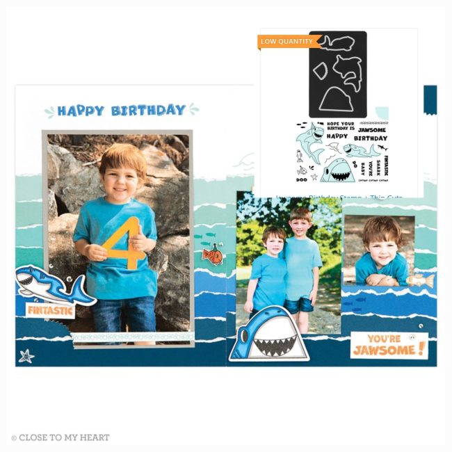Jawsome Birthday
