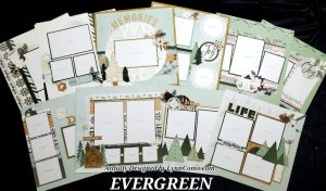Evergreen Online Workshop