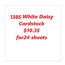 1385 white daisy